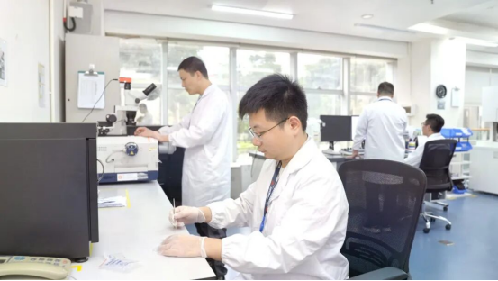 【黨建引領】凝心聚力沖刺收官，風華高科以高質量黨建引領高質量發展