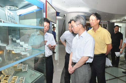 廣東省國(guó)資委副主任趙瑞云調(diào)研風(fēng)華