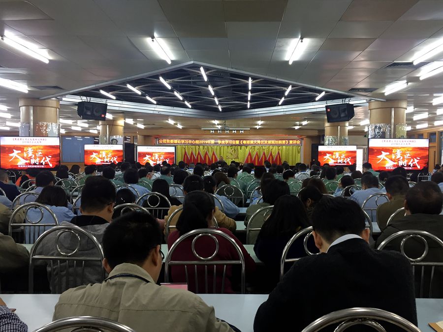 公司組織召開粵港澳大灣區發展 規劃綱要宣講會 