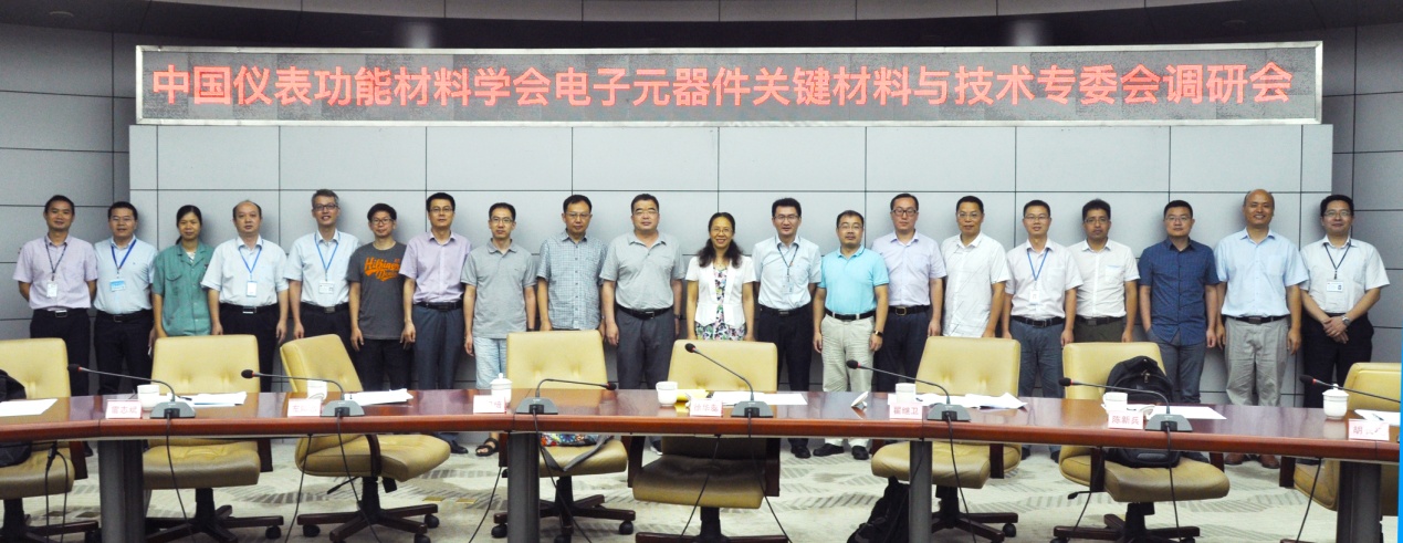 中國儀表功能材料學會電子元器件關鍵材料與技術專委會蒞臨風華高科調研交流